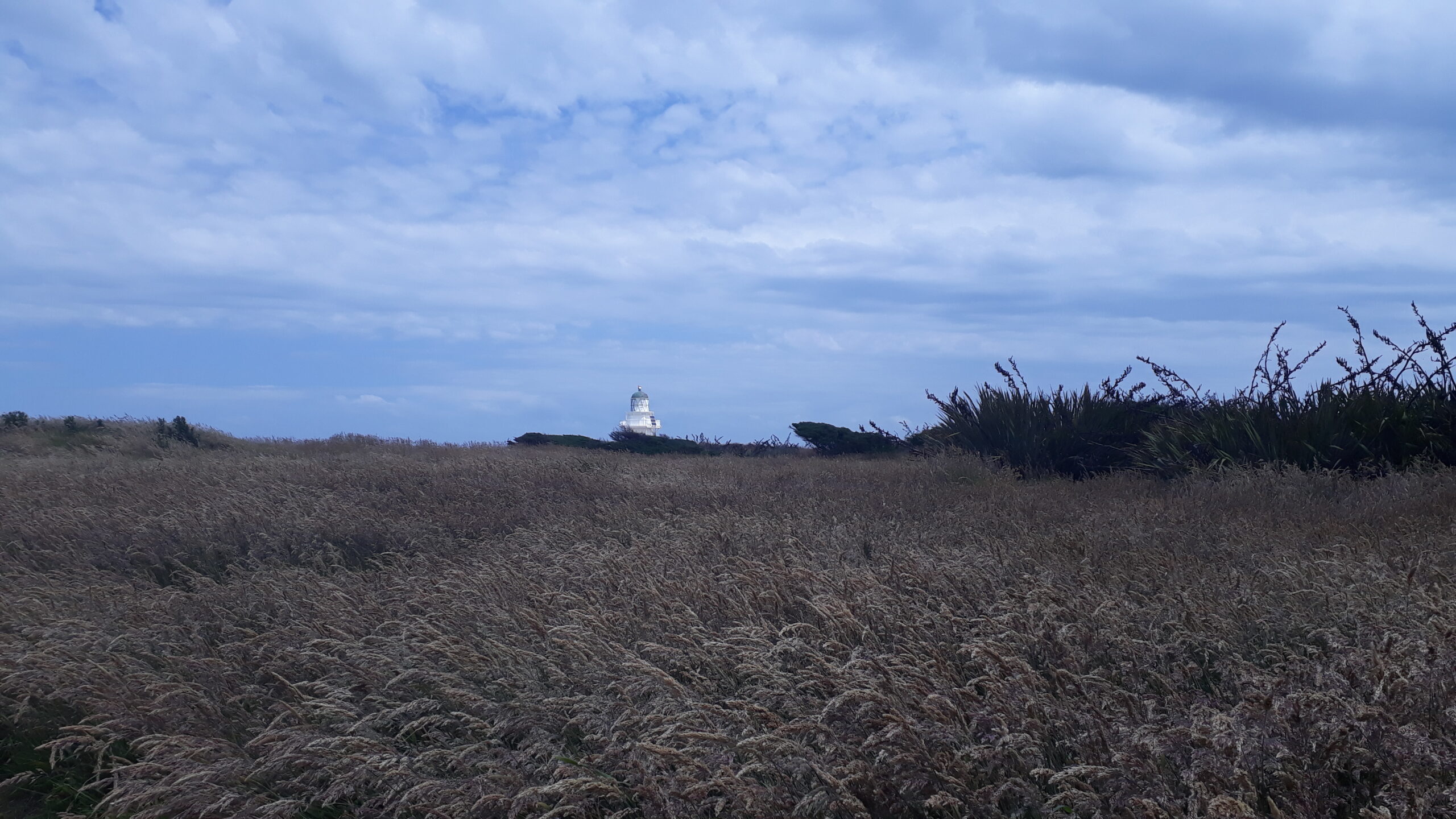 Chelsea Legging Set - Obrázek 2